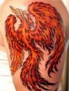 phoenix pics tattoos on arm