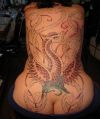 phoenix picture tattoos for back