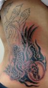 phoenix tat on side back