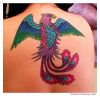 Phoenix tattoos on back