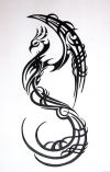 tribal phoenix picture tattoo