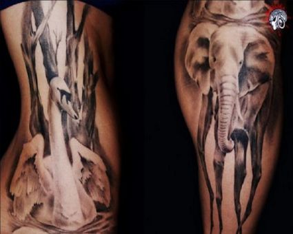 Elephant And Swan Tattoo