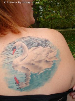 Swan Pics Of Tattoo