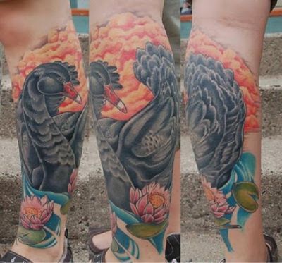 swan tattoo design on legs. Birds tattoos, swan tattoos, Tattoos of Birds, Tattoos of swan, Birds tats, swan tats, Birds free tattoo designs, swan free tattoo designs, Birds tattoos picture, swan tattoos picture, Birds pictures tattoos, swan pictures tattoos, Birds free tattoos, swan free tattoos, Birds tattoo, swan tattoo, Birds tattoos idea, swan tattoos idea, Birds tattoo ideas, swan tattoo ideas, swan tattoo on legs
