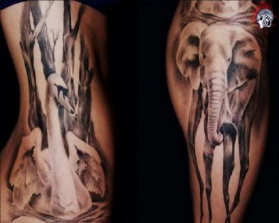 elephant and swan tattoo design. Birds tattoos, swan tattoos, Tattoos of Birds, Tattoos of swan, Birds tats, swan tats, Birds free tattoo designs, swan free tattoo designs, Birds tattoos picture, swan tattoos picture, Birds pictures tattoos, swan pictures tattoos, Birds free tattoos, swan free tattoos, Birds tattoo, swan tattoo, Birds tattoos idea, swan tattoos idea, Birds tattoo ideas, swan tattoo ideas, elephant and swan tattoo