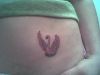 swan tats design images