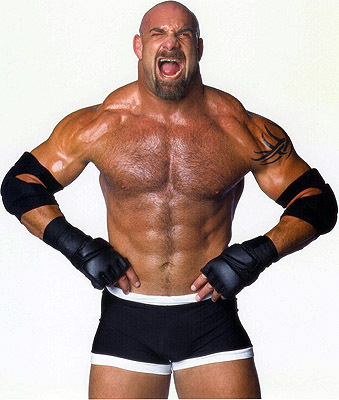 V Rare Sheet of WWF/nWo WRESTLING TATTOO Sheet of 12 / HULK Hart DDP  Goldberg + | eBay