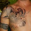 asian dragon chest tattoo pics