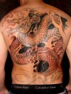 dragon pic tattoo on full back