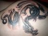 dragon pics tattoo