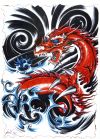 dragon tats design 