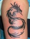 tribal dragon pic of tattoos