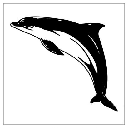 Dolphin Tattoos In Black