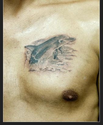 Dolphin Chest Tats