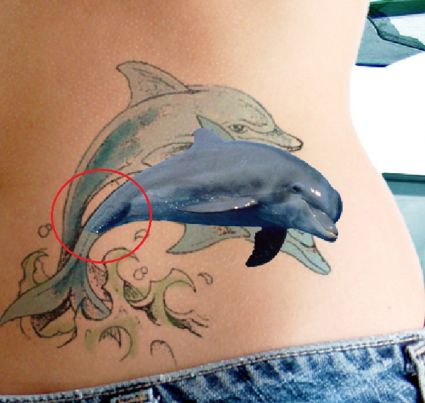 Dolphin Tats For Girl