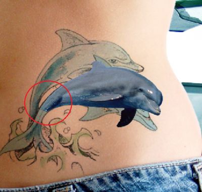 Fish tattoos, Dolphin tattoos, Tattoos of Fish, Tattoos of Dolphin, Fish tats, Dolphin tats, Fish free tattoo designs, Dolphin free tattoo designs, Fish tattoos picture, Dolphin tattoos picture, Fish pictures tattoos, Dolphin pictures tattoos, Fish free tattoos, Dolphin free tattoos, Fish tattoo, Dolphin tattoo, Fish tattoos idea, Dolphin tattoos idea, Fish tattoo ideas, Dolphin tattoo ideas, dolphin tats for girl