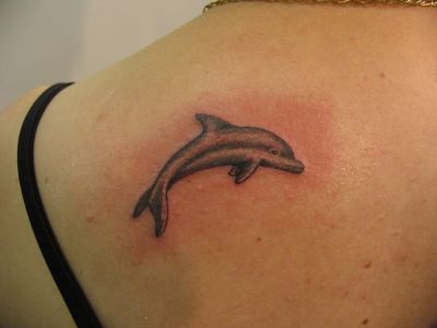 Fish tattoos, Dolphin tattoos, Tattoos of Fish, Tattoos of Dolphin, Fish tats, Dolphin tats, Fish free tattoo designs, Dolphin free tattoo designs, Fish tattoos picture, Dolphin tattoos picture, Fish pictures tattoos, Dolphin pictures tattoos, Fish free tattoos, Dolphin free tattoos, Fish tattoo, Dolphin tattoo, Fish tattoos idea, Dolphin tattoos idea, Fish tattoo ideas, Dolphin tattoo ideas, Dolphin tattoo picture