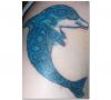 Dolphin tattoo designs