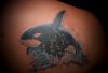 Dolphin tattoos picture design