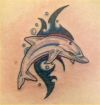 dolphin with tribal tattoo 