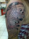 koi fish tattoos gallery