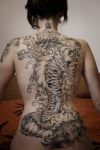 koi fish girl's back tattoo