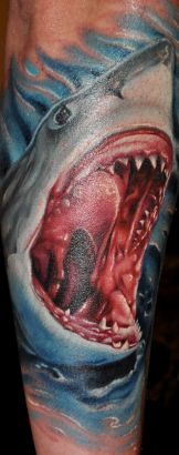 Shark Tattoos Design Pics