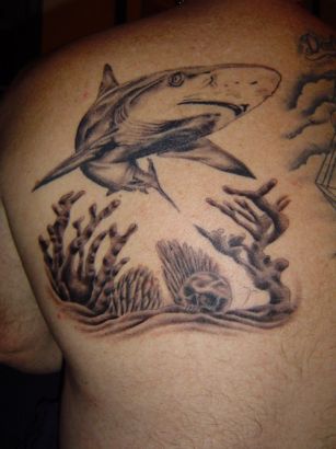 Shark Back Tattoo