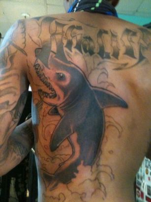 Shark Images Back Tattoo