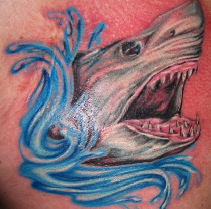 Shark Pics Of Tattoo