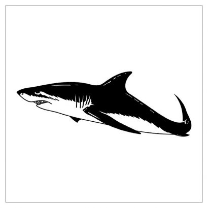 Shark Tattoos In Black