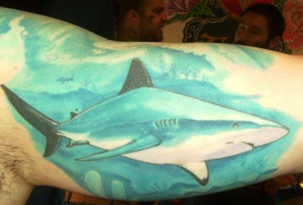 Shark Tattoos Designs