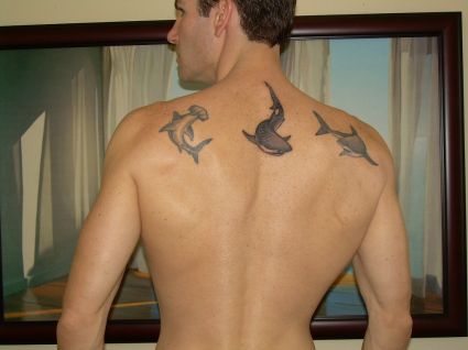 Shark Tattoo Pics Gallery