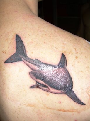 Shark Tattoos Picture