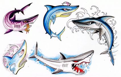Sharks Tats Gallery
