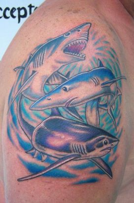 Shark Tats On Shoulder