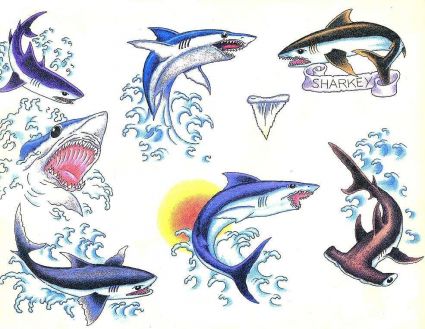 Sharks Tats Images