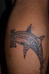 shark inked with black