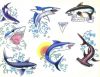 sharks tats images