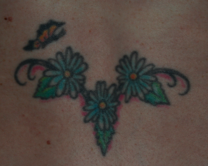 Daisy And Butterfly Pic Tattoo