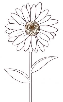 Daisy Flower Pics Tattoo