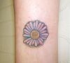 daisy pic tattoo