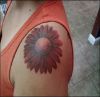 daisy pic tattoos on shoulder