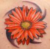 daisy pics of tattoo