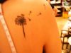 dandelion tattoos on right shoulder blade