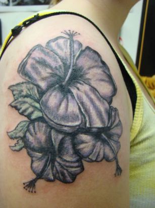 Hibiscus Pics Of Tats