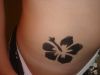 Hibiscus tattoo design