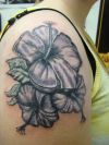 hibiscus pics of tats