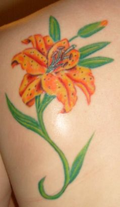 Orange Lily Pics Tats