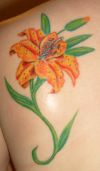 orange lily pics tats